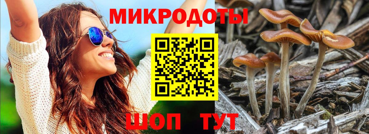 Строитель  Галлюциногенные грибы Magic Shrooms  Вход с VPN 